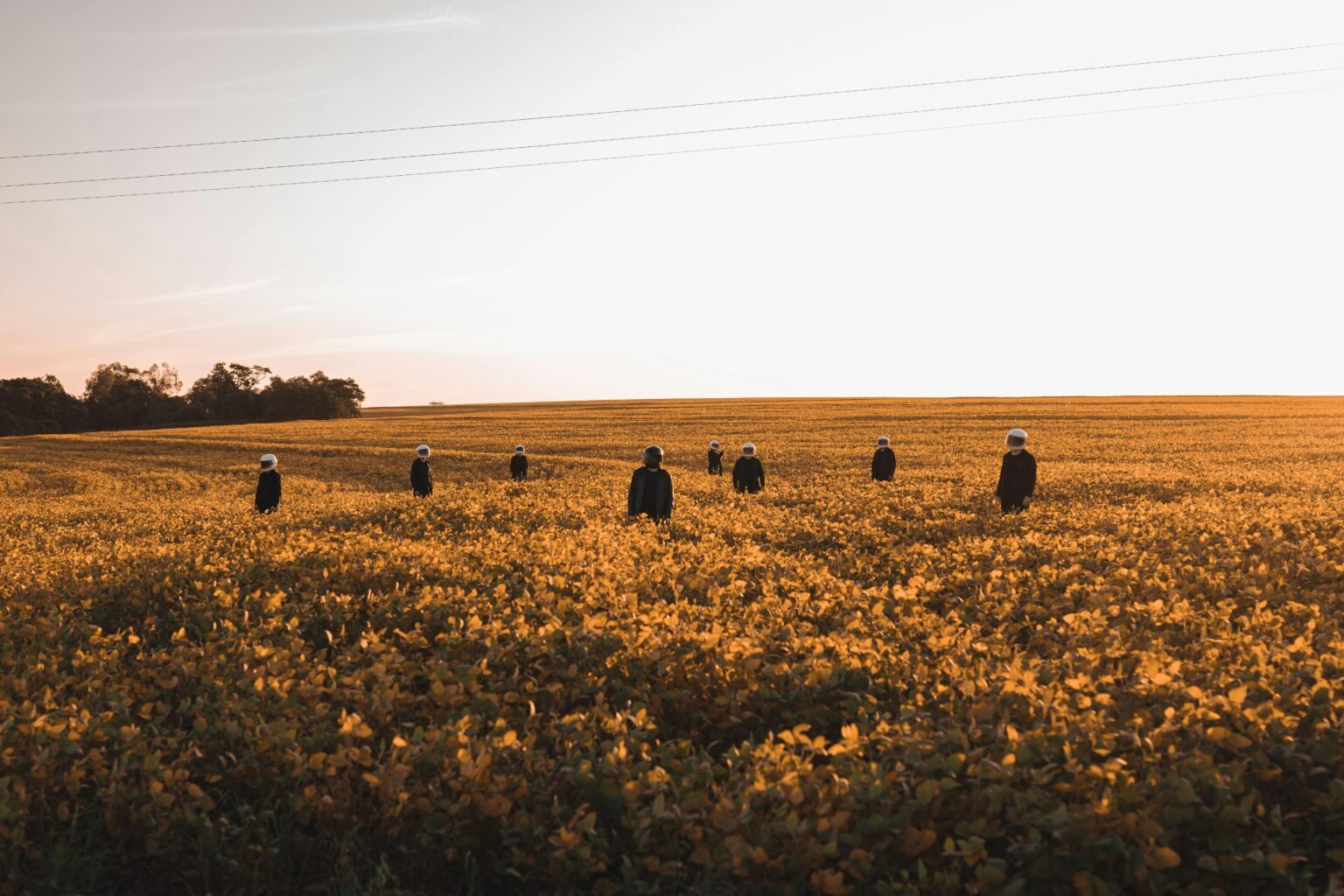 pexels-juliano-astc-1623739-12080836